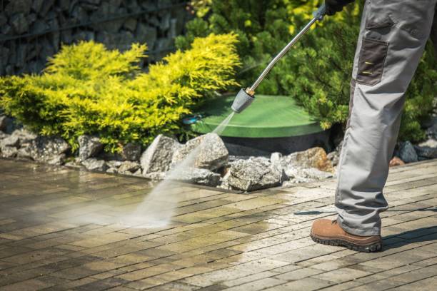 Best Soft Washing  in Manatee Road, FL